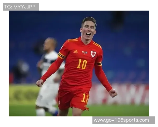 奥地利与威尔士激战正酣谁将赢得这场精彩对决